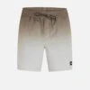 Cannonball Volley 17" Boardshort