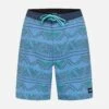 Weekender Boardshort 20"