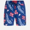 Phantom Eco Cannonball Volley 17" Boardshort