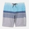 Essential Epic Ombre Boardshort 20"